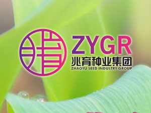 【簽約】河北兆育種業(yè)集團有限公司，簽署網(wǎng)站改版升級合同