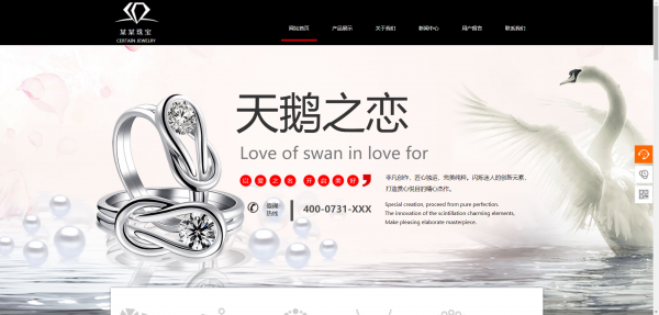 企業(yè)建網(wǎng)站視頻網(wǎng)站運(yùn)營(yíng)模式類(lèi)別