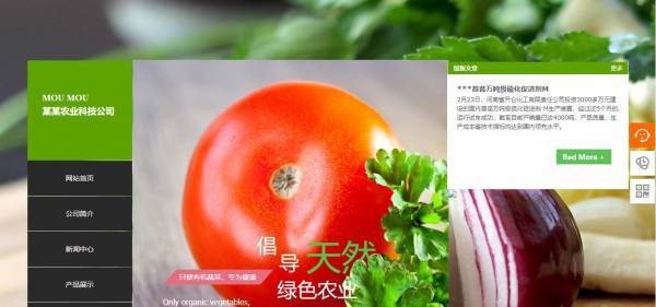 公司網站制作，秩序與靈動并存的網頁設計