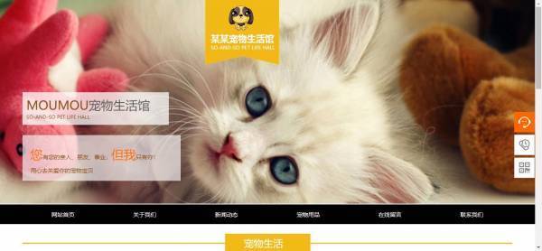 企業(yè)網(wǎng)站建設(shè)，網(wǎng)站性價比高