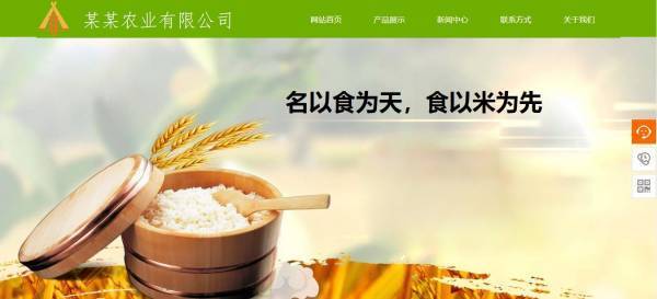 企業(yè)網站建設，農業(yè)信息網站建設的現狀分析
